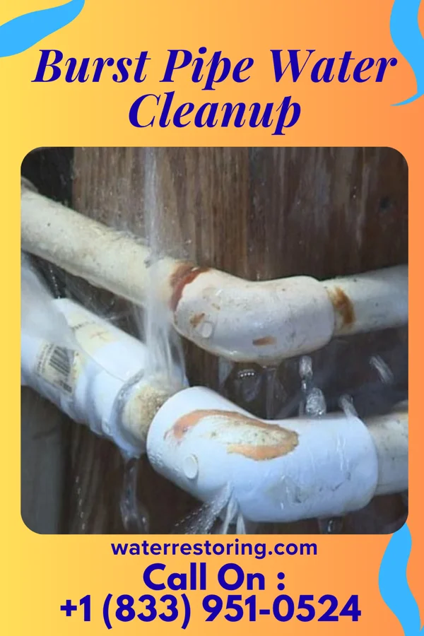 Burst Pipe Water Cleanup in Endicott, NE