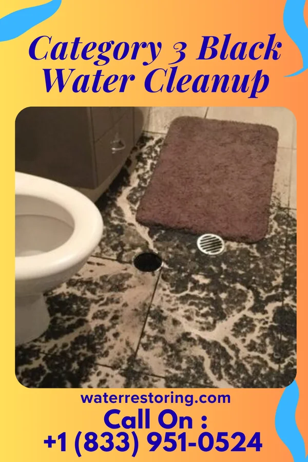 Category 3 Black Water Cleanup in Endicott, NE