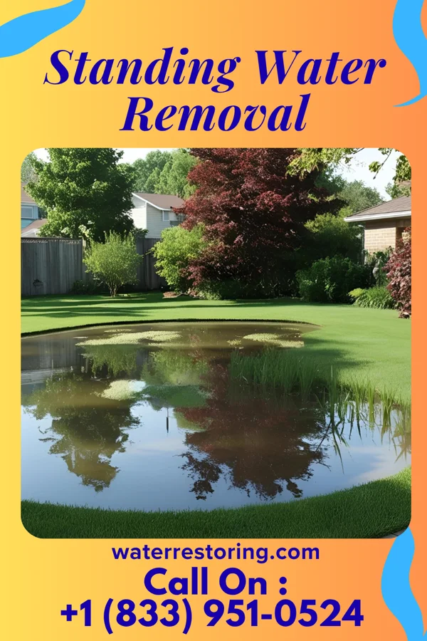 Standing Water Removal in Endicott, NE